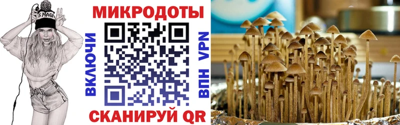Галлюциногенные грибы Psilocybe  Купить где  Жуковка 